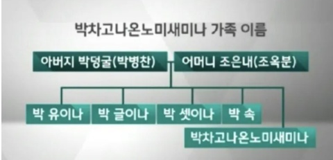 [유머] 작명 이유가 너무 궁금한 특이한 이름들 -  와이드섬