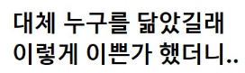 [유머] 블랙핑크 제니가 물려받은 유전자 -  와이드섬