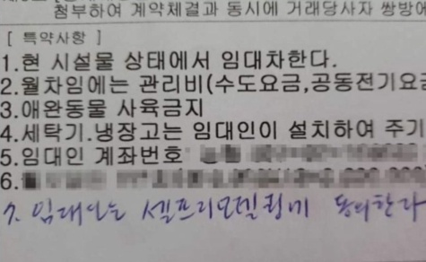 [유머] 옥탑방 레전드 셀프 인테리어 -  와이드섬