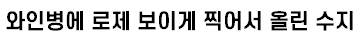 [유머] 럽스타 궁예글을 믿을 필요 없는 이유 -  와이드섬