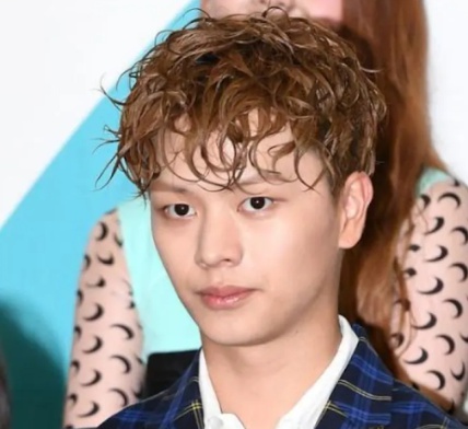 [유머] 비주얼로도 커버 불가능하다는 아이돌 최악의 헤어 -  와이드섬
