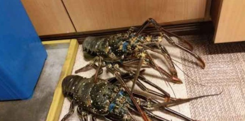 [유머] 원양어선에서 끼니를 해결하는 방법 -  와이드섬