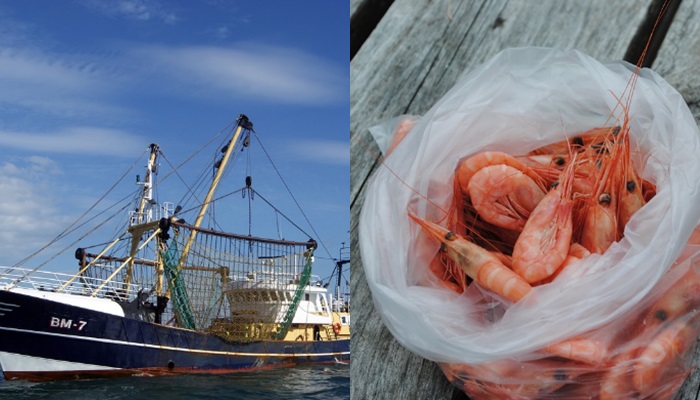 [유머] 원양어선에서 끼니를 해결하는 방법 -  와이드섬