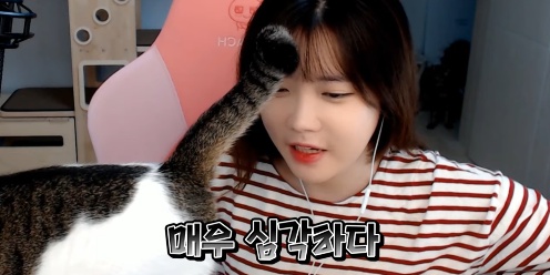 [유머] 배달음식만 먹던 bj의 건강검진 결과 -  와이드섬