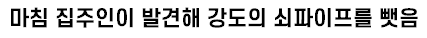 [유머] 강도를 마주치면 도망가야 하는 이유 -  와이드섬