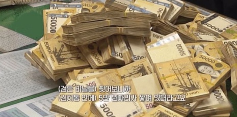 [유머] 마늘밭 110억 신고한 굴착기 기사 근황 -  와이드섬