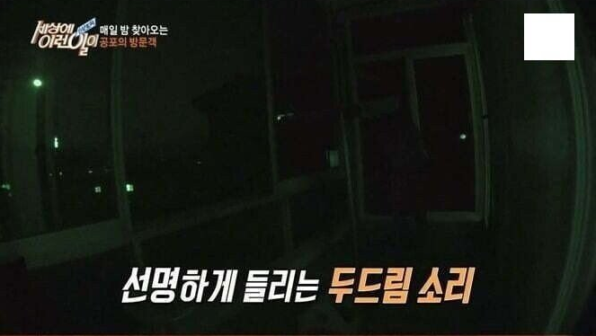 [유머] 어둠속 공포의 방문객. -  와이드섬