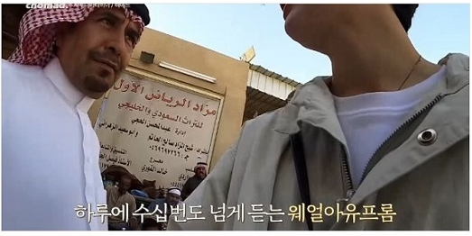 [유머] 사우디 여행의 환상편. -  와이드섬